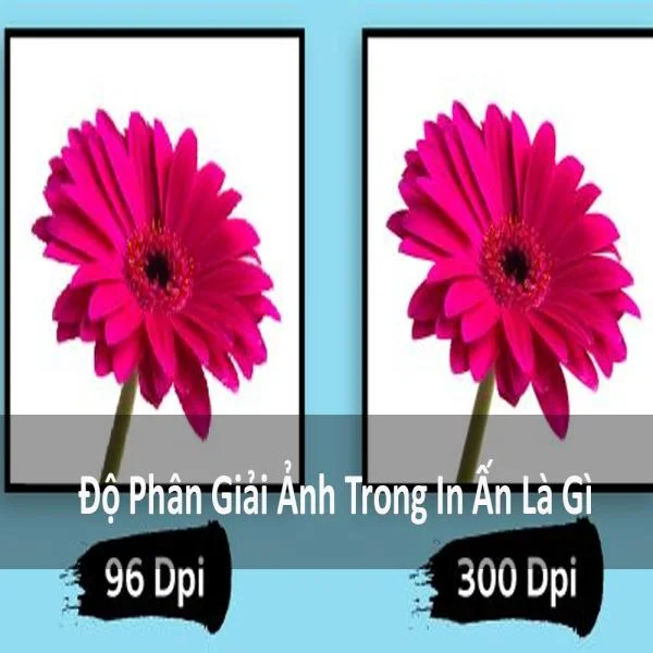 Độ Phân Giải Ảnh Là Gì?– Cách Đảm Bảo Chất Lượng Ấn Phẩm Tối Ưu