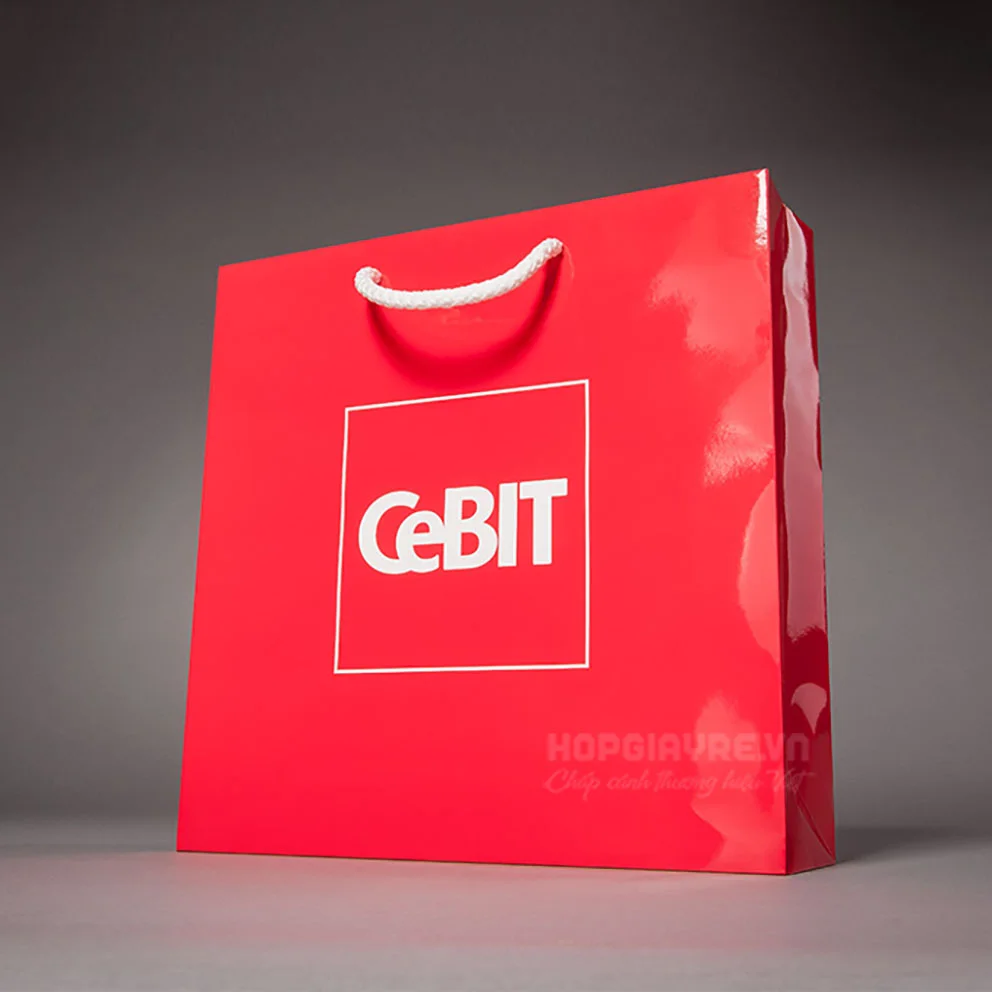 in túi giấy cán bóng- in Đại Phúc