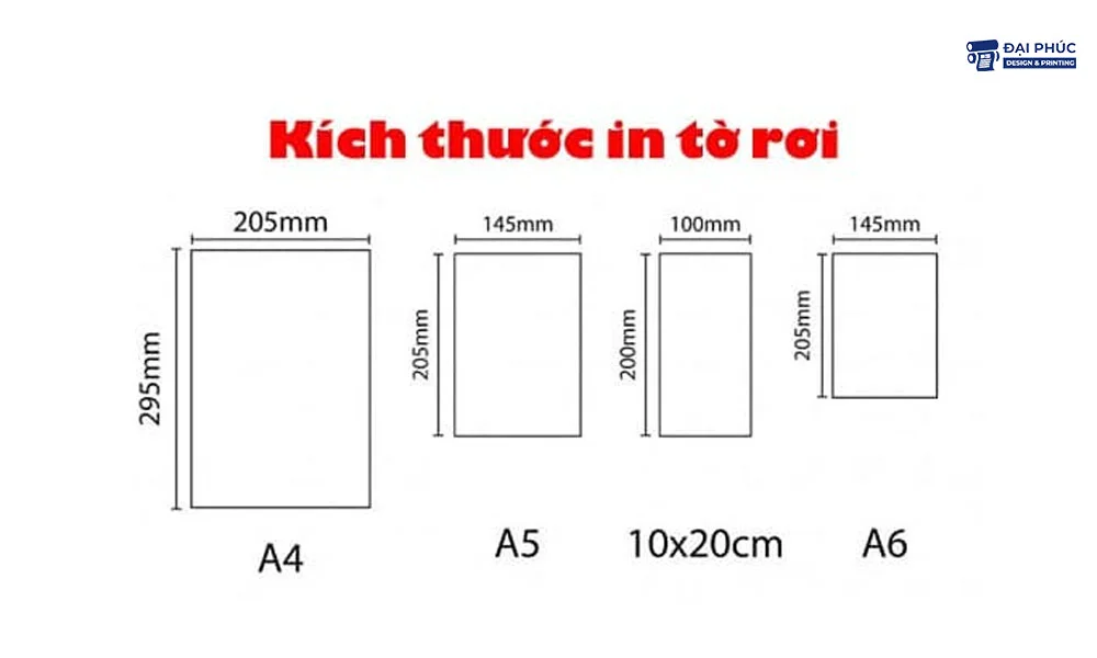 kich-thuoc-to-roi